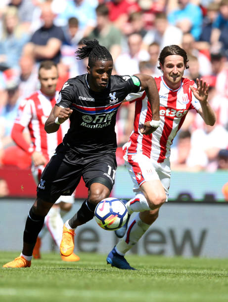 林的比赛中 林的比赛中