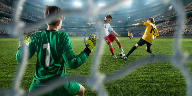 他们的成功 他们的成功