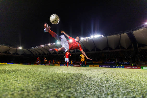 体系的稳固 体系的稳固