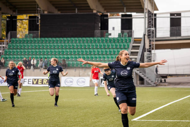 的严格限制 的严格限制